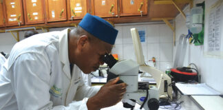 Lutte contre le paludisme : les chercheurs s’informent sur le projet Target Malaria