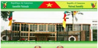 Cameroun : les députés obtiennent une prolongation de leur mandat jusqu’en 2026
