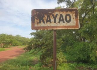 Portefeuille magique : quatre présumés multiplicateurs d’argent aux arrêts à Kayao pour un préjudice de 17 millions de FCFA