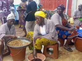 Lutte contre la malnutrition au Burkina : La fortification du blé, l’huile végétal et du sel iode prôné au Sud-Ouest