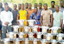 Protection de l’environnement: le charbon écologique, une réponse à la déforestation