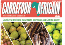 Une Carrefour africain n°1304- juin 2024