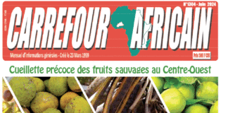 Une Carrefour africain n°1304- juin 2024