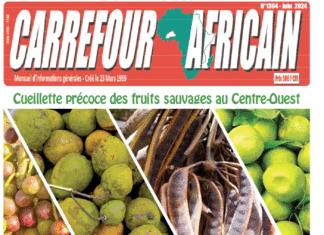 Une Carrefour africain n°1304- juin 2024