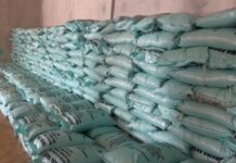 Province du Nayala : cinq suspects arrêtés pour détournements d’intrants agricoles