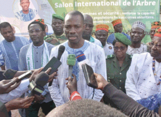 Salon international de l’arbre :la femme au cœur de l’évènement
