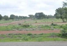 Difficultés de mise en valeur des parcelles de l’opération « Relais-Cité de Saponé » : les attributaires des parcelles s’en remettent au chef de l’Etat