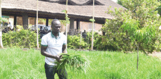 Centre agro-écologique et d’innovation : un biotope d’une agriculture durable