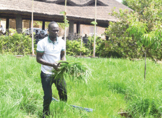 Centre agro-écologique et d’innovation : un biotope d’une agriculture durable