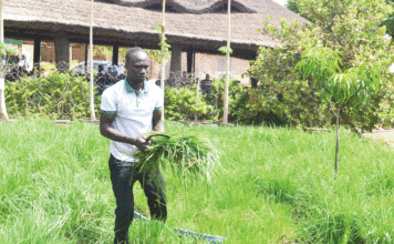 Centre agro-écologique et d’innovation : un biotope d’une agriculture durable