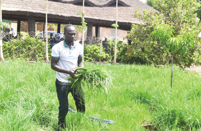 Centre agro-écologique et d’innovation : un biotope d’une agriculture durable