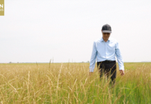Pr Liu Gongshe, le père de l’herbe à mouton Zhongke