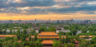 70e anniversaire des Cinq Principes de la Coexistence pacifique : Le pari pour un monde meilleur