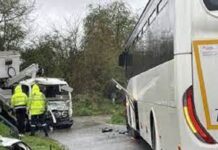 Ministère en charge des transports : STAF et TSR, deux compagnies de transport en commun, totalisent 355 blessés et 118 morts entre 2019 et 2024