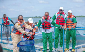 Offensive agropastorale et halieutique 2023-2025 : Samendeni récolte son premier cycle de poissons des cages flottantes