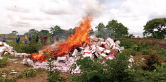 Lutte contre la fraude : des cartons de cigarettes d’une valeur de 139 millions F CFA incinérés