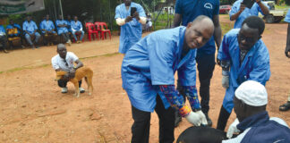 Commune de Bobo-Dioulasso : 8 000 animaux de compagnie à vacciner contre la rage