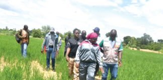 Campagne agricole 2024-2025 dans les Hauts-Bassins : « Nous aurons à manger au vu de ce qui est fait sur le terrain », Eric Pascal Adanabou