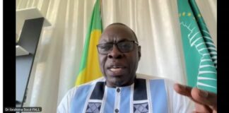 Candidat au poste de directeur régional de l’OMS pour l’Afrique: « Les pays du Sahel en situation de crise sécuritaire constituent une priorité pour moi », Dr Ibrahima Socé Fall