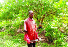 Entrepreneuriat agricole: Issiaka Zoubga, le producteur modèle sur les collines de Bouakuy