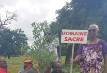 Reboisement : Plus de 1.000 plants mis en terre par des ressortissants de Laye