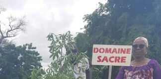 Reboisement : Plus de 1.000 plants mis en terre par des ressortissants de Laye