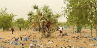 Actu vert : Pour la salubrité de nos cadres de vie, engageons-nous
