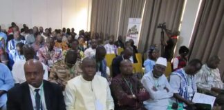 Recensement général des entreprises : le nouveau fichier disponible en 2025