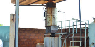 Transformation et commercialisation des noix de cajou : une activité à visage féminin