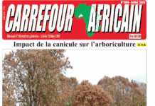 Une Carrefour africain n°1305-juillet 2024