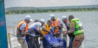 Barrage de Samandéni : Quinze tonnes de tilapias récoltées quatre mois après l’empoissonnement dans les cages