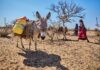 Changement climatique : Les enfants en souffrent deux fois plus