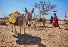 Changement climatique : Les enfants en souffrent deux fois plus