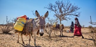 Changement climatique : Les enfants en souffrent deux fois plus