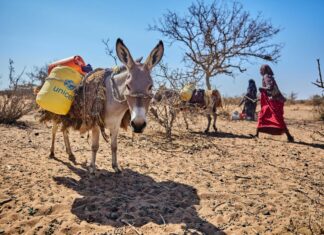 Changement climatique : Les enfants en souffrent deux fois plus