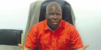 Sécurité alimentaire et nutritionnelle: « Les cultures négligées et ou sous-utilisées méritent l’attention de tous », Pr Jacques Nanema, coordonnateur de l’UJKZ du projet Sustlives