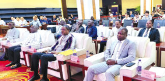 Investissements privés au Burkina Faso : les opportunités présentées aux hommes d’affaires chinois