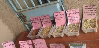 Station de recherche de Saria : un levier scientifique de l’Offensive agricole