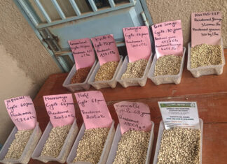 Station de recherche de Saria : un levier scientifique de l’Offensive agricole