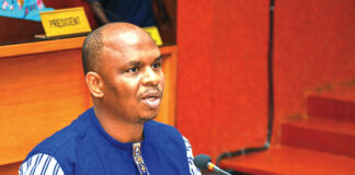 Contribution de l’élevage au PIB : le ministre en charge de ressources animales, Amadou Dicko éclaire les députés