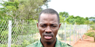 Gestion durable des paysages communaux pour la REDD+ : une délégation ministérielle en inspection à Sapouy et Ipelcé