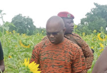 Campagne agricole 2024-2025 dans les Hauts-Bassins : de l’ananas et du tournesol « made in Burkina »