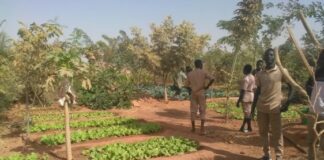 Les emplois verts : Un espoir pour la protection de l’environnement