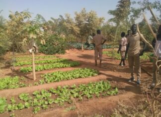 Les emplois verts : Un espoir pour la protection de l’environnement