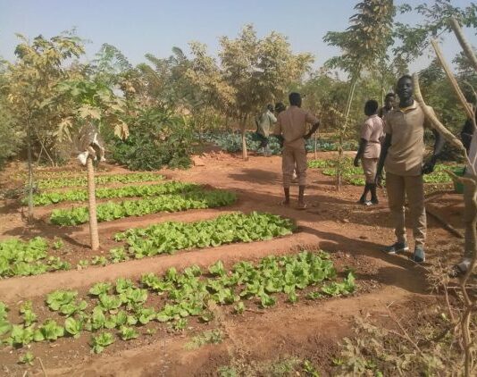Les emplois verts : Un espoir pour la protection de l’environnement