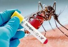 Cap-Vert : l’épidémie de dengue pousse le gouvernement à déclarer l’état d’urgence