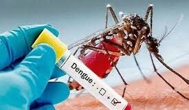 Cap-Vert : l’épidémie de dengue pousse le gouvernement à déclarer l’état d’urgence