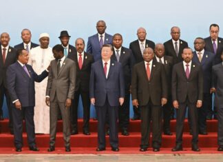 Coopération Chine-Afrique : Xi Jinping annonce un soutien de 50 milliards de dollars pour le développement du continent