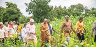 Suivi de Campagne 2024-2025 : Le ministre SOMBIE constate l’évolution des spéculations agricoles dans le Centre-Sud et le Centre-Est