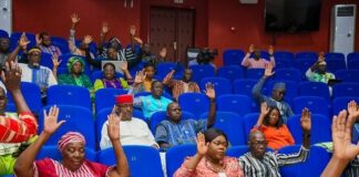 Burkina Faso : Les députés adoptent une loi pour réduire l’exportation des animaux sur pieds